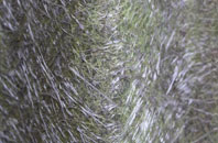 Sharperton fibreglass roof work